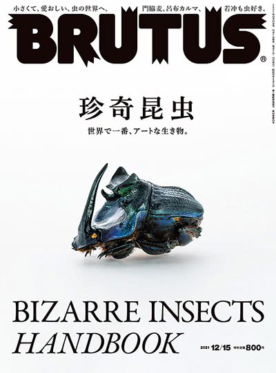 生活和文化时尚杂志订阅电子版PDF 日本《BRUTUS》【2021年汇总21期】