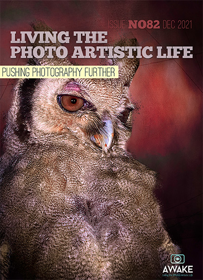 国际摄影艺术杂志订阅电子版PDF 美国《Living the Photo Artistic Life》【2021年汇总12期】