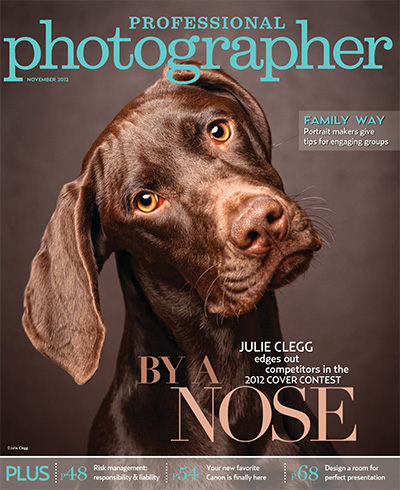 专业摄影杂志订阅电子版PDF 美国《Professional Photographer》【2012年汇总11期】