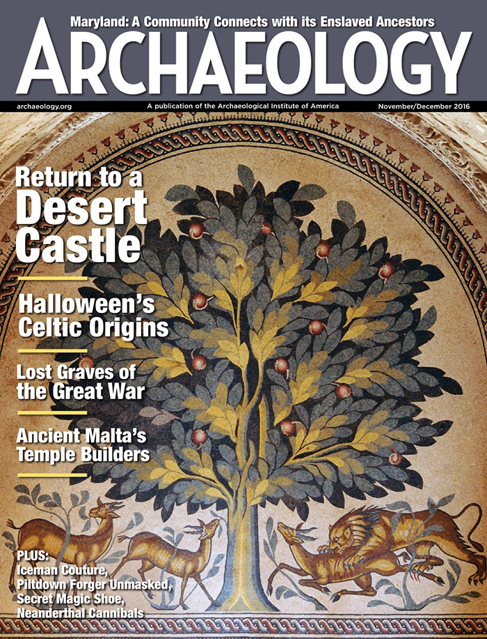 考古学杂志订阅电子版PDF 美国《Archaeology》【2016年11月12月刊杂志免费下载】