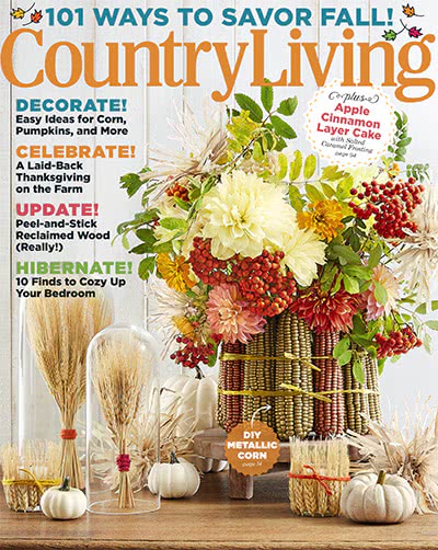 田园生活家居杂志订阅电子版PDF 美国《Country Living》【2017年汇总10期】