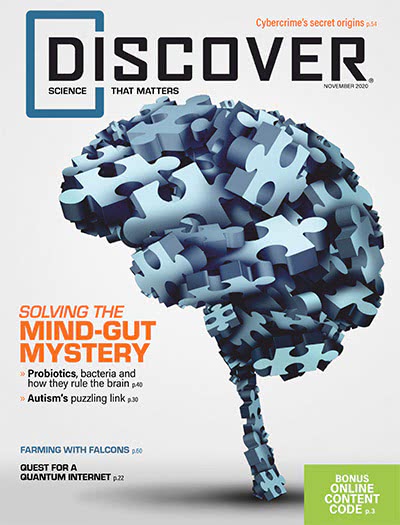 科学科普杂志订阅电子版PDF 美国《Discover》【2020年汇总8期】