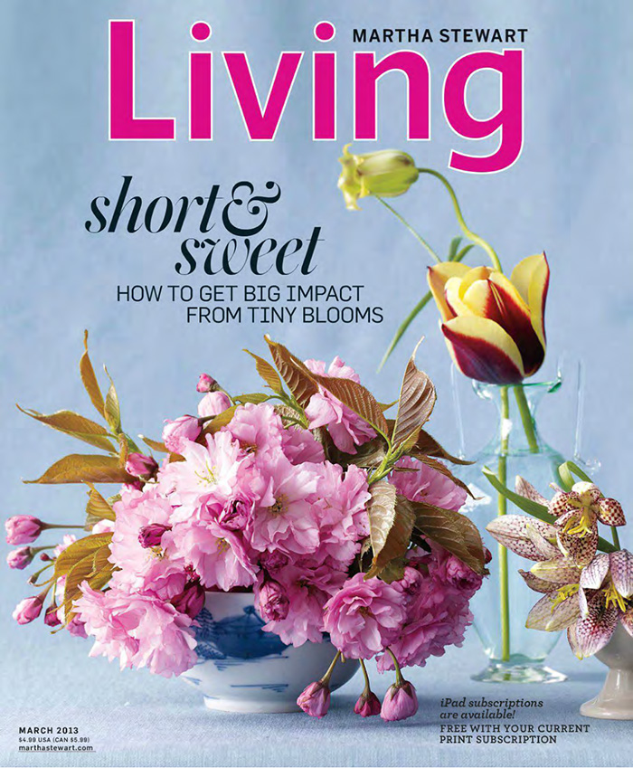 生活家杂志订阅电子版PDF 美国《Martha Stewart Living》【2013年3月刊杂志免费下载】