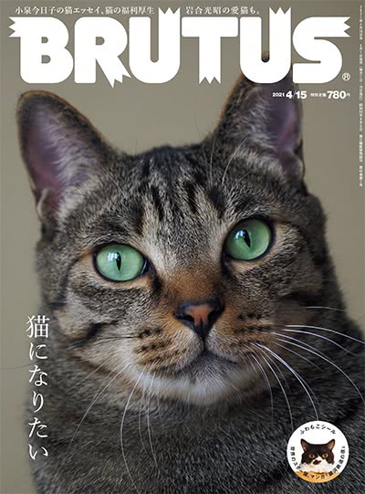 生活和文化时尚杂志订阅电子版PDF 日本《BRUTUS》【2021年汇总21期】
