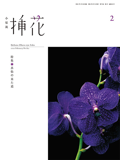 插花艺术杂志订阅电子版PDF 日本《小原流》【2020年汇总9期】