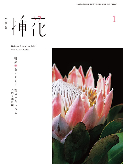 插花艺术杂志订阅电子版PDF 日本《小原流》【2020年汇总9期】