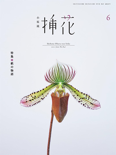 插花艺术杂志订阅电子版PDF 日本《小原流》【2021年汇总10期】