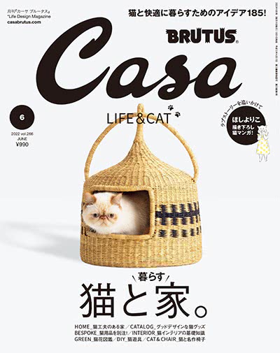 生活设计杂志订阅电子版PDF 日本《Casa BRUTUS》【2022年+特别编集.汇总18期】